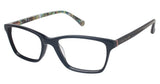 Ted Baker B723 Eyeglasses