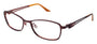Brendel 902141 Eyeglasses