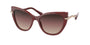 Bvlgari 8236BF Sunglasses