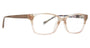 Vera Bradley VBGrace Eyeglasses