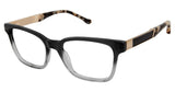 Buffalo by David Bitton BW005 Eyeglasses