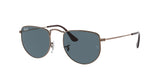 Ray Ban Elon 3958 Sunglasses