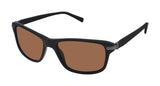 Ted Baker TBM015 Sunglasses