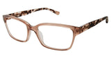 Ted Baker B751 Eyeglasses