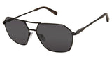 Buffalo by David Bitton BMS008 Sunglasses