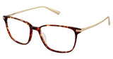 Ted Baker B748 Eyeglasses