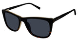 Ted Baker TBM024 Sunglasses