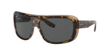 Ray Ban Blair 2196 Sunglasses