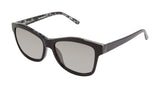 Ted Baker TB109 Sunglasses