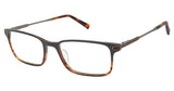 Ted Baker TFM009 Eyeglasses