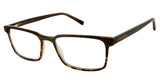 Ted Baker B899 Eyeglasses