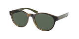 Polo 4176 Sunglasses