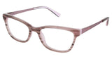 Ted Baker B948 Eyeglasses