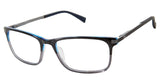 Ted Baker TFM005 Eyeglasses