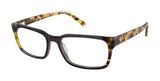 Ted Baker B888 Eyeglasses