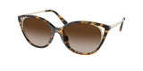 Michael Kors Alexandria 2152U Sunglasses