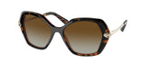 Bvlgari 8241KF Sunglasses