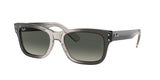 Ray Ban Mr Burbank 2283 Sunglasses