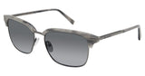 Ted Baker TBM049 Sunglasses