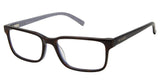 Ted Baker TXL002 Eyeglasses