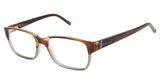 Ted Baker BIO868 Eyeglasses