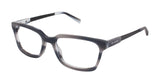 Ted Baker B887 Eyeglasses