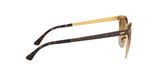 900851 - Havana - Clear Gradient Brown