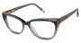 Ted Baker TLW002 Eyeglasses