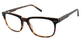 Ted Baker B892 Eyeglasses