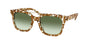 Tory Burch 7166U Sunglasses