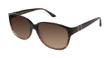 Brendel 916009 Sunglasses