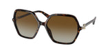 Bvlgari 8238B Sunglasses