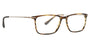 Argyleculture Isley Eyeglasses