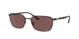 Ray Ban 3684CH Sunglasses