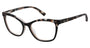 Ted Baker TW001 Eyeglasses