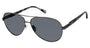 Buffalo by David Bitton BMS001 Sunglasses