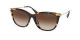 Michael Kors Dublin 2150U Sunglasses