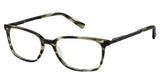 Ted Baker TFM001 Eyeglasses