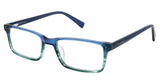 Ted Baker B971 Eyeglasses