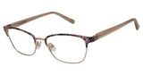 Ted Baker B978 Eyeglasses