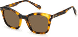 0086-HE - Havana - Copper Polarized