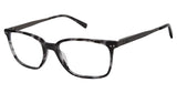 Ted Baker TM003 Eyeglasses