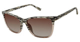 L.A.M.B. LA568 Sunglasses