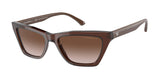 Emporio Armani 4169F Sunglasses