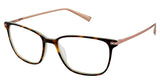 Ted Baker B748 Eyeglasses