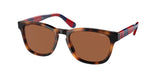 Polo 4170 Sunglasses