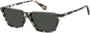 Polaroid Core Polaroid6126 Sunglasses