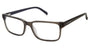 Ted Baker TXL002 Eyeglasses