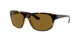 Ray Ban 4351 Sunglasses