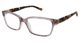 Ted Baker B751 Eyeglasses